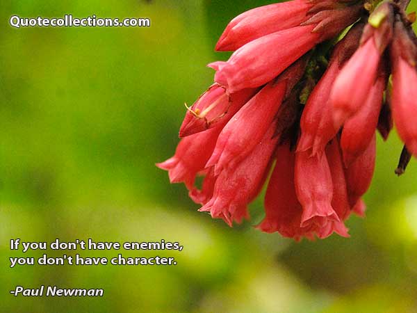 Paul Newman Quotes4